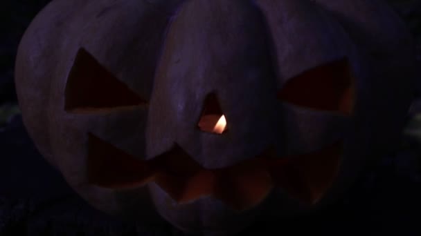 Férias de outono Halloween. Abóbora brilhante assustadora, lanterna Jacks . — Vídeo de Stock