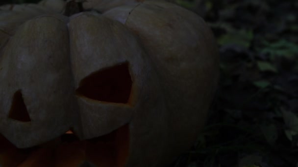 Хэллоуин, страшная тыква в темноте, крупным планом. Фонарь Джекса . — стоковое видео