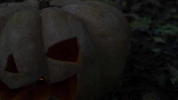 Halloween, calabaza aterradora en la oscuridad, primer plano. Linterna de gatos . — Vídeo de stock