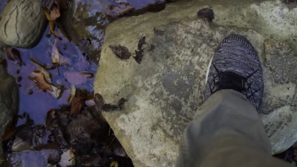 Escursione, un uomo cammina sulle rocce attraverso un ruscello nel bosco . — Video Stock