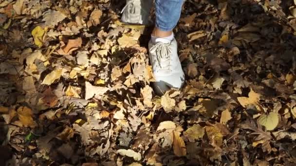 Otoño dorado, una mujer pateando hojas amarillas. Las piernas van en hojas de otoño . — Vídeo de stock