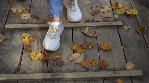 Otoño dorado, una mujer camina sobre hojas amarillas. Pies de cerca . — Vídeos de Stock