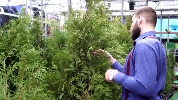 Člověk zahradník ve skleníku. — Stock video