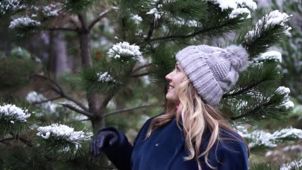 Giovane donna allegra vicino all'albero di Natale nevoso nel parco . — Video Stock