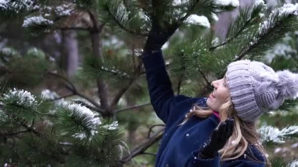 Giovane donna in inverno vicino all'albero di Natale nella foresta . — Video Stock