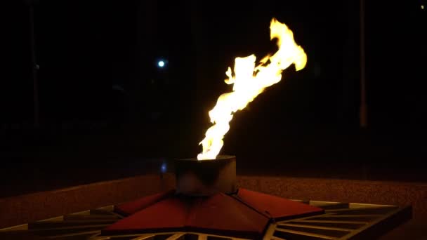 Le monument une flamme éternelle brûle dans les ténèbres . — Video