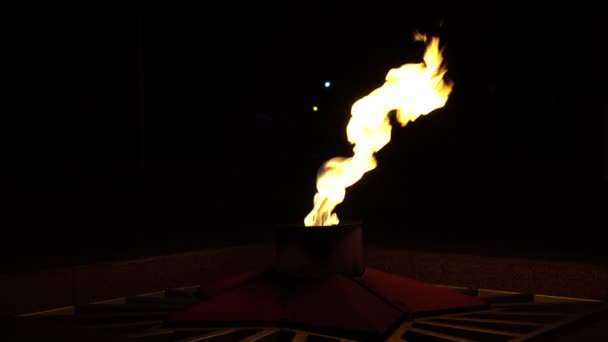 Monument Flamme éternelle, flambeau ardent dans l'obscurité . — Video