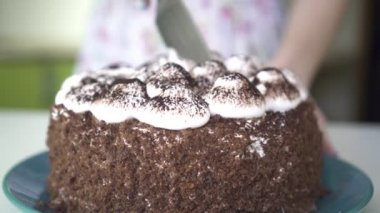 Bir kadın bir Doğum günü pastası, yakın çekim keser..