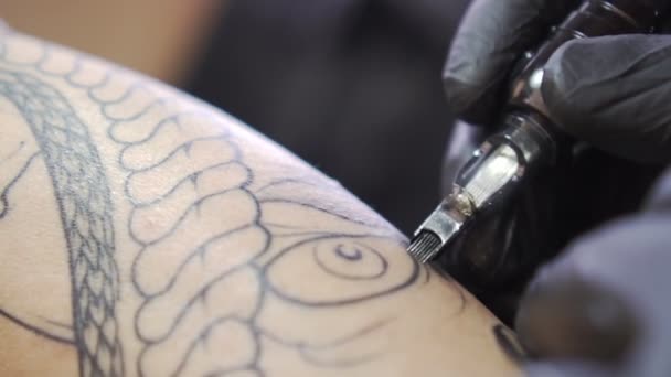 Tattoo, master artist paints a tattoo. — Stock Video