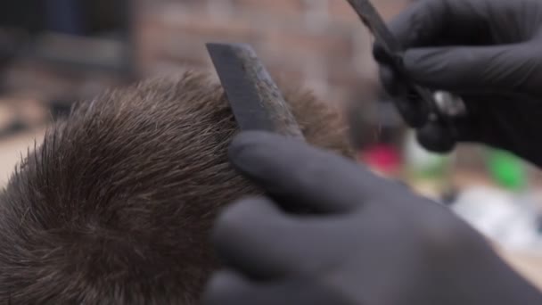 Barbearia, cabeleireiro corta um homem com uma navalha e um pente . — Vídeo de Stock