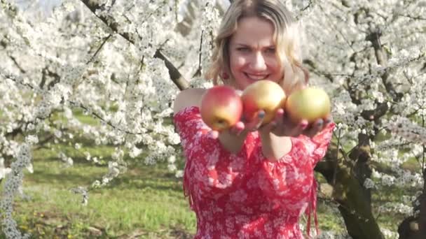 Çiçek açan elma ağaçlarının arka planda elma ile genç kadın. — Stok video