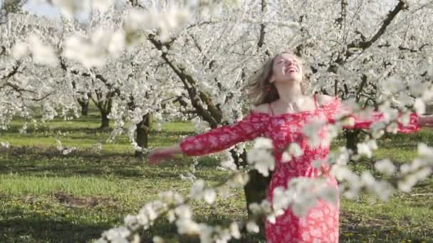 Mladá šťastná žena se točí mezi kvetoucími stromy. — Stock video