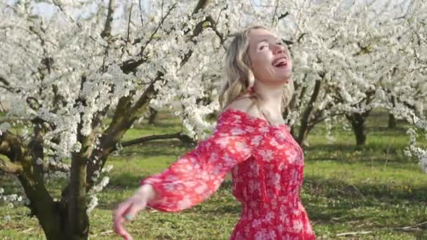 Tavasz, virágzó almafák, fiatal boldog nő. — Stock videók
