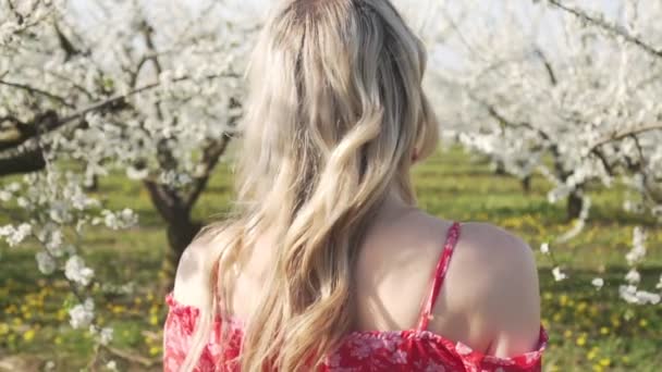 Frühling, blühende Apfelbäume, junge glückliche Frau geht durch den Obstgarten. — Stockvideo