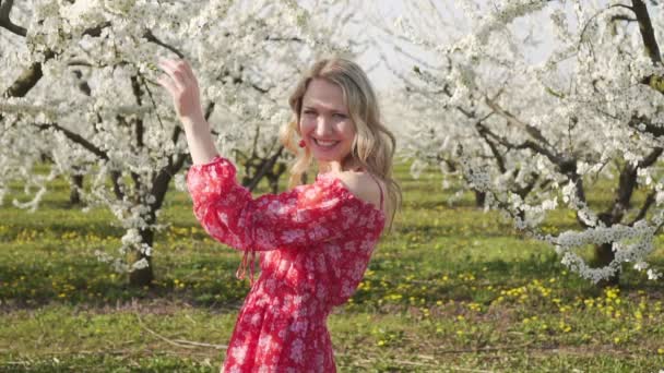 Eine junge Frau geht zwischen blühenden Obstbäumen. — Stockvideo