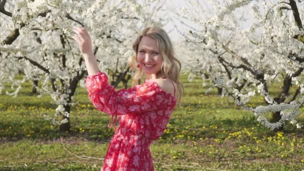 Une jeune femme marche parmi les arbres fruitiers en fleurs . — Video