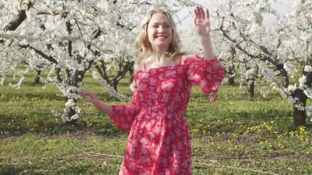 Una joven camina entre árboles frutales florecientes. Primavera, naturaleza, belleza . — Vídeos de Stock