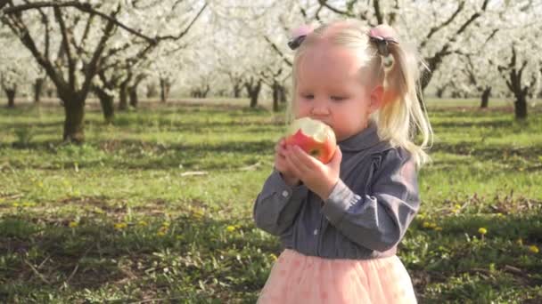 Un petit enfant mange une pomme dans un jardin fleuri .