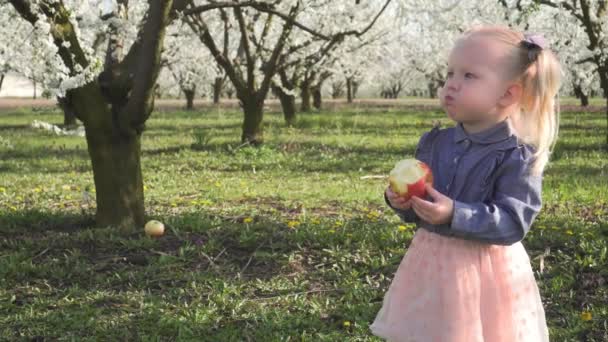 Mädchen mit einem Apfel auf dem Hintergrund blühender Bäume. Frühling und Natur. — Stockvideo