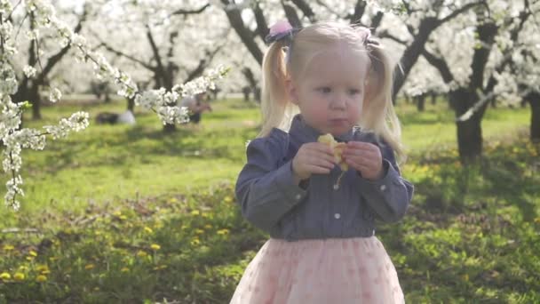 Lille jente med eple på naturen om våren . – stockvideo