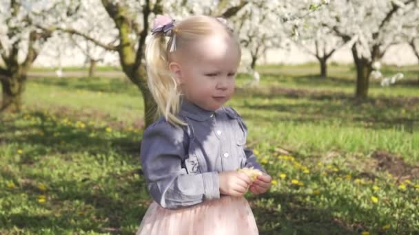 Bambina nel giardino fiorito primaverile . — Video Stock