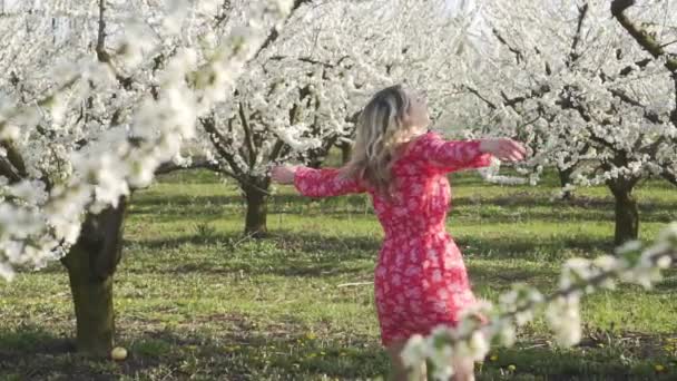 Primavera, naturaleza y una joven mujer hermosa . — Vídeos de Stock