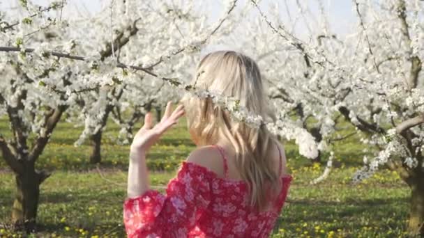 Joven mujer hermosa, primavera, naturaleza, árboles con flores . — Vídeo de stock