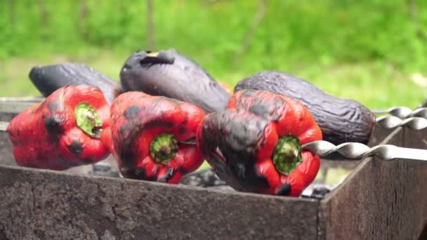 Vegetariánský piknik. Na grilu jsou grilovaná zelenina. — Stock video