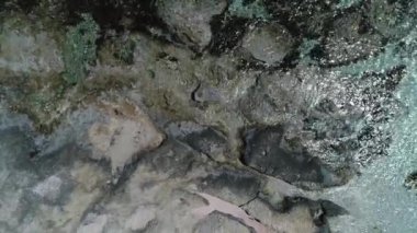 Deniz dalgaları ve kayalık kıyı, havadan görünüm.