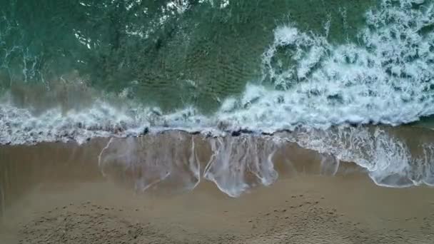 Morze i piękną piaszczystą plażę, widok z powietrza. — Wideo stockowe