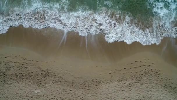 Surfistas com pranchas vão ao longo da praia arenosa, vista aérea . — Vídeo de Stock