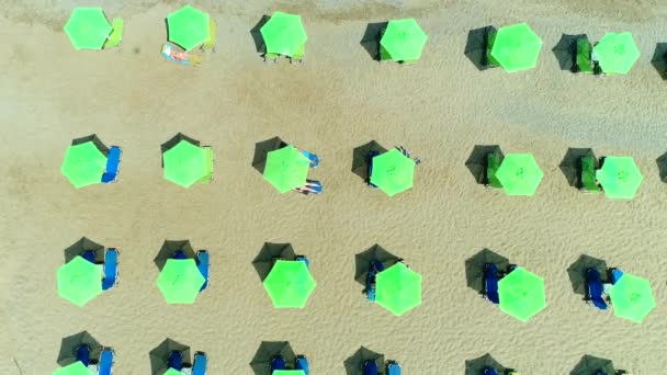 Playa soleada, mar y arena, sombrillas verdes, vista aérea . — Vídeo de stock