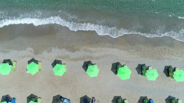 Luftaufnahme: Touristen sonnen sich am Strand. Sonnenschirme, Meer und Sandstrand. — Stockvideo