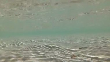 Deniz kumlu alt, kum üzerinde güneş parlama, video aksiyon kamerası.