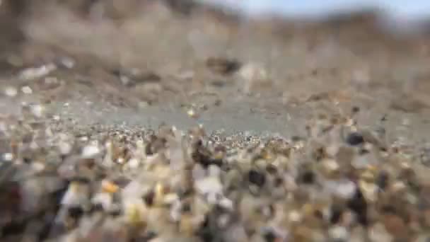 Fundo rochoso do mar em águas rasas, subaquático, câmera lenta . — Vídeo de Stock