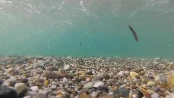 Tengeri háttér, tengerfenék és buborékok, vízbázisú fényképezés. — Stock videók