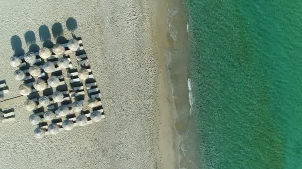 Antenn: sandstrand, hav och tropiska paraplyer från solen. — Stockvideo