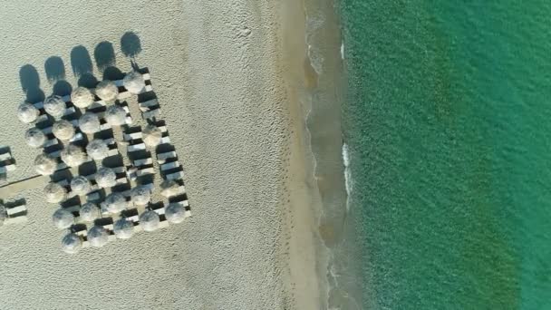 Aerea: spiaggia sabbiosa, mare e ombrelloni tropicali dal sole . — Video Stock