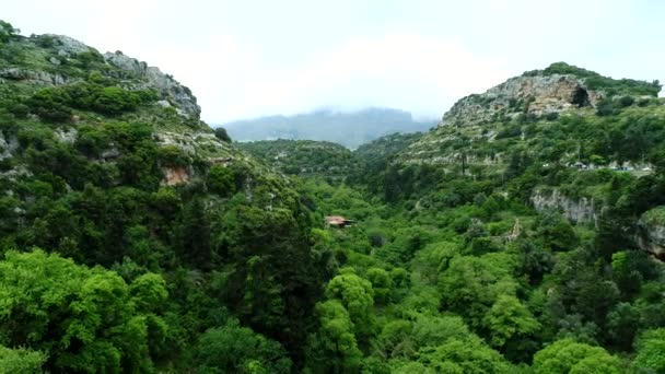 Montañas verdes y bosque, rocas, hermoso fondo natural, vista aérea . — Vídeos de Stock