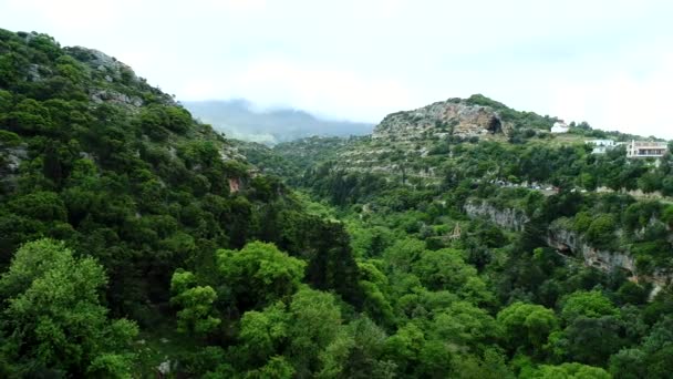 Forêt tropicale verte, montagnes, rochers, arbres, vue aérienne . — Video