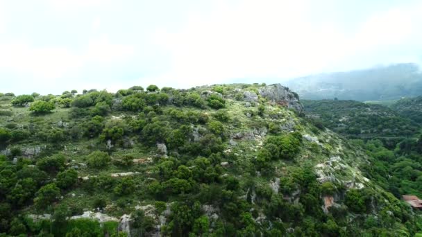 Vue aérienne : belle vallée verte, montagnes et collines, forêt et arbres . — Video