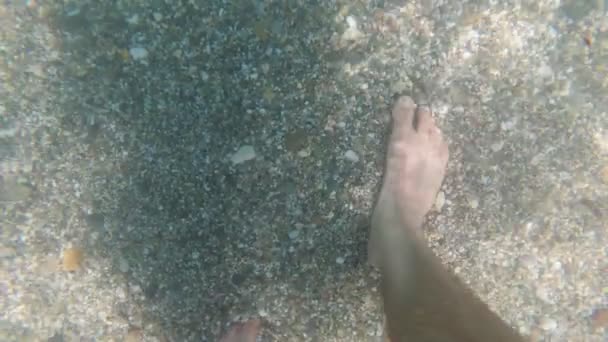 足は海底にあり、水中撮影. — ストック動画
