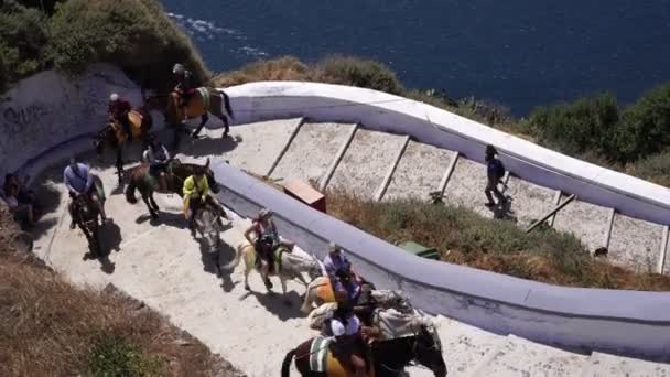 Griekenland, Santorini-mei 2019. Toeristen klimmen de trap op ezels. — Stockvideo
