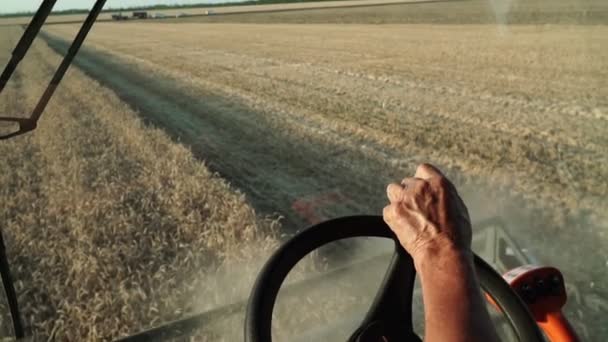 Un agricoltore nella mietitrebbia raccoglie grano. Falciatrici mietitrebbie in campo una coltura di grano . — Video Stock