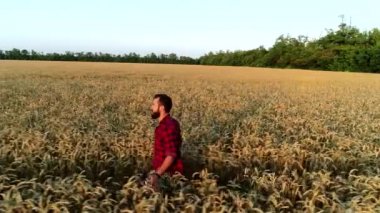 Genç bir adam buğday tarlasında çiftçidir. Çiftlik, hasat, güneş ışığı.