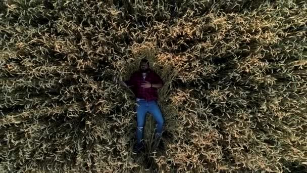 En ung bonde ljuger och vilar på ett vetefält. — Stockvideo