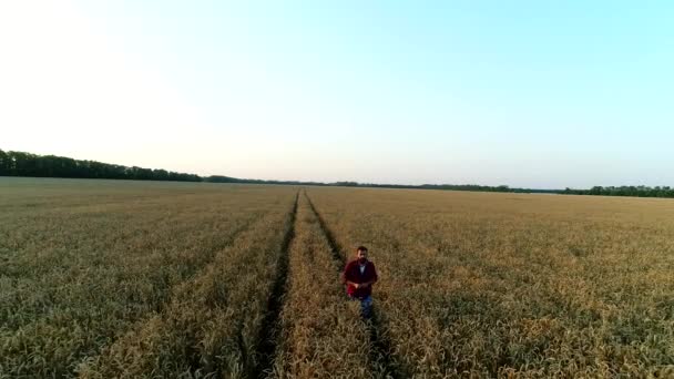 Agricultor masculino caminhando em um campo de trigo . — Vídeo de Stock