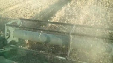 Hasat makinesi tarlada gezer ve buğday hasat eder, yakın çekim.