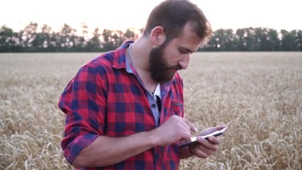 Σύγχρονος νέος αρσενικός αγρότης χρησιμοποιεί ένα smartphone σε ένα χωράφι σιταριού. — Αρχείο Βίντεο