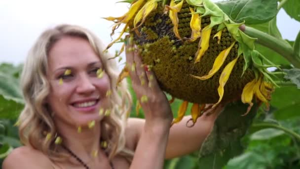Mladá krásná žena na poli s slunečnicovým. — Stock video